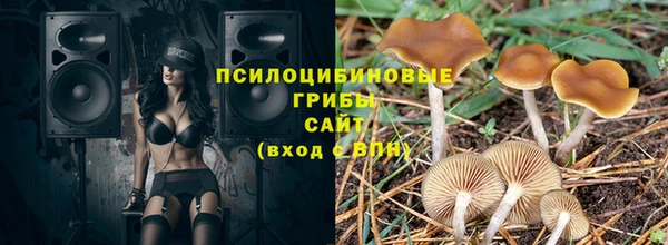 СК Снежногорск