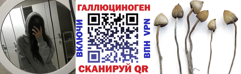 Галлюциногенные грибы GOLDEN TEACHER  закладки  Кремёнки 